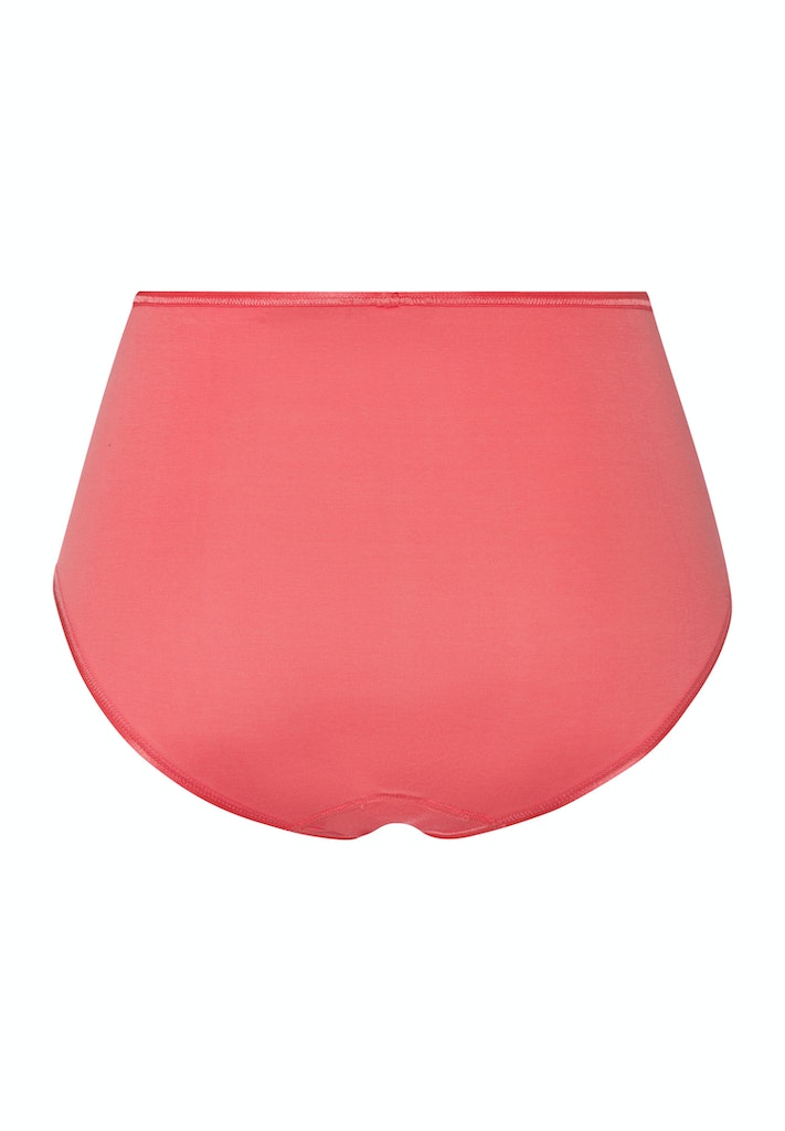 Cotton Seamless - Maxi Briefs